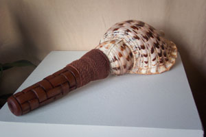 Putatara - Conch and - Kauri